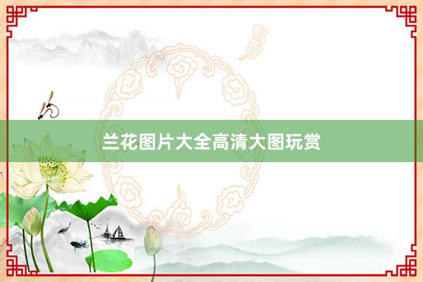 兰花图片大全高清大图玩赏