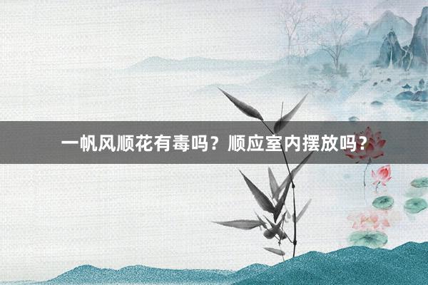 一帆风顺花有毒吗？顺应室内摆放吗？